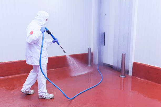 Best Soft Washing  in Bartlett, IL