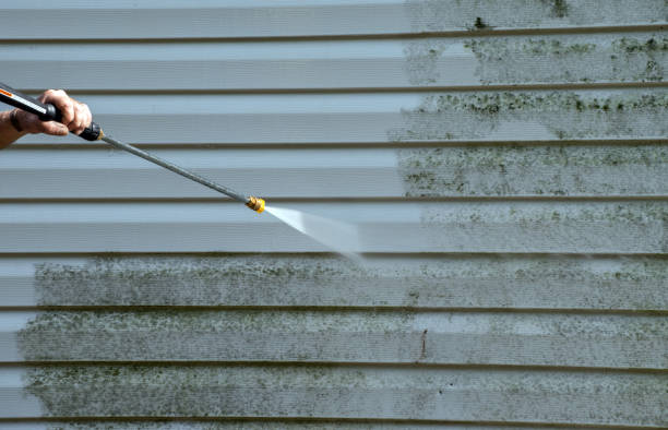 Best Dumpster Area Cleaning  in Bartlett, IL